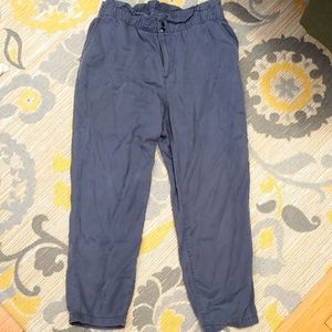 Loft Blue Canvas Pants